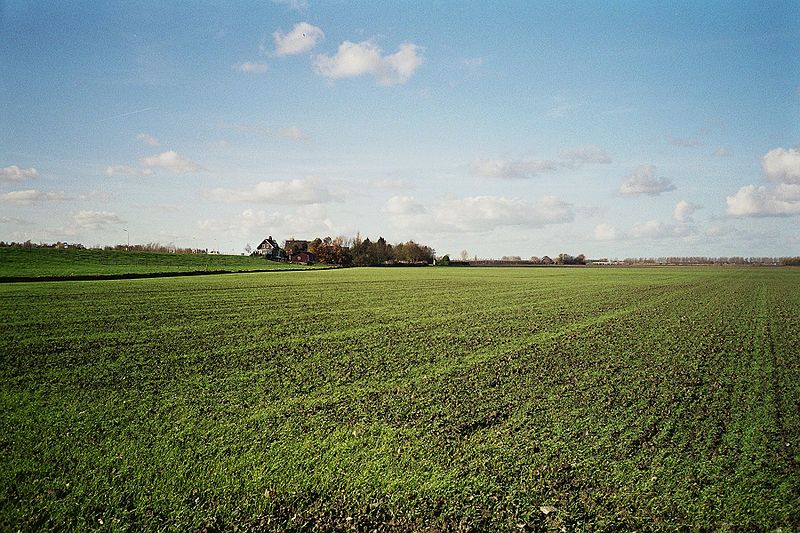Haarlemmermeerpolder. Beeld van Ilonamay via Wikipedia