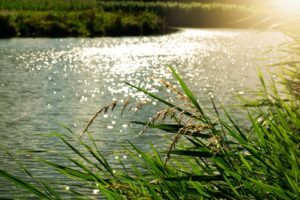 Ruimte voor de Rivier-project bijna ten einde met oplevering hoogwatergeul Veessen-Wapenveld