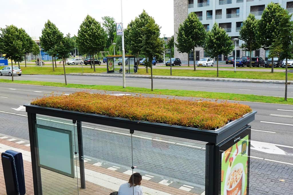 Groene Daken Bushokjes Effectiever In Groene Omgeving De Openbare Ruimte